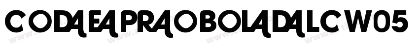 CodeProBoldLCW05 Reg字体转换